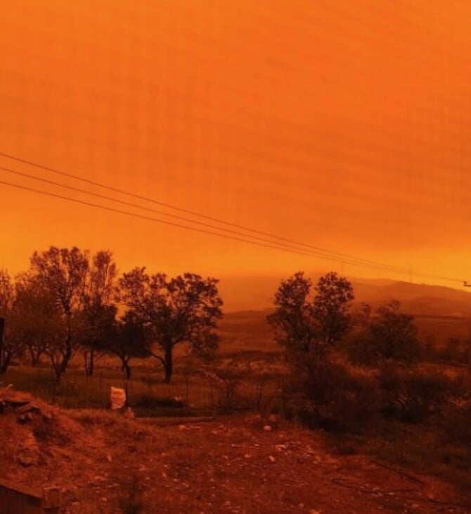ΚΡΗΤΗ ΑΦΡΙΚΑΝΙΚΗ ΣΚΟΝΗ ΠΟΡΤΟΚΑΛΙ
