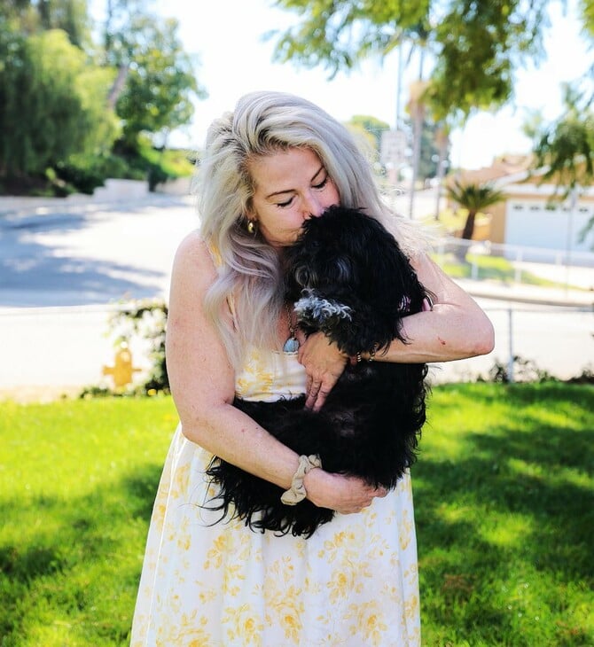 Οταν η AI δεν γράφει κείμενα, αλλά βρίσκει χαμένους σκύλους και γάτες