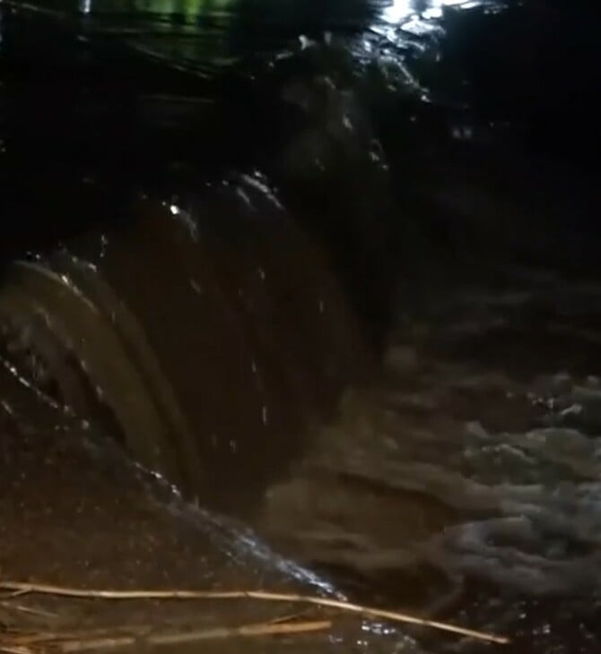 ΣΠΑΤΑ ΟΔΟΣ ΠΕΥΚΟΥ ΡΕΜΑ ΥΠΕΡΧΕΙΛΙΣΗ ΚΑΚΟΚΑΙΡΙΑ ΚΑΙΡΟΣ