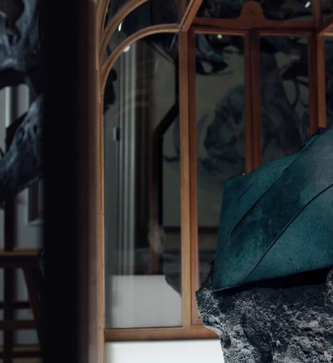 ΤΣΑΝΤΑ ΔΗΜΟΠΡΑΣΙΑ ΤΥΡΑΝΝΟΣΑΥΡΟΣ