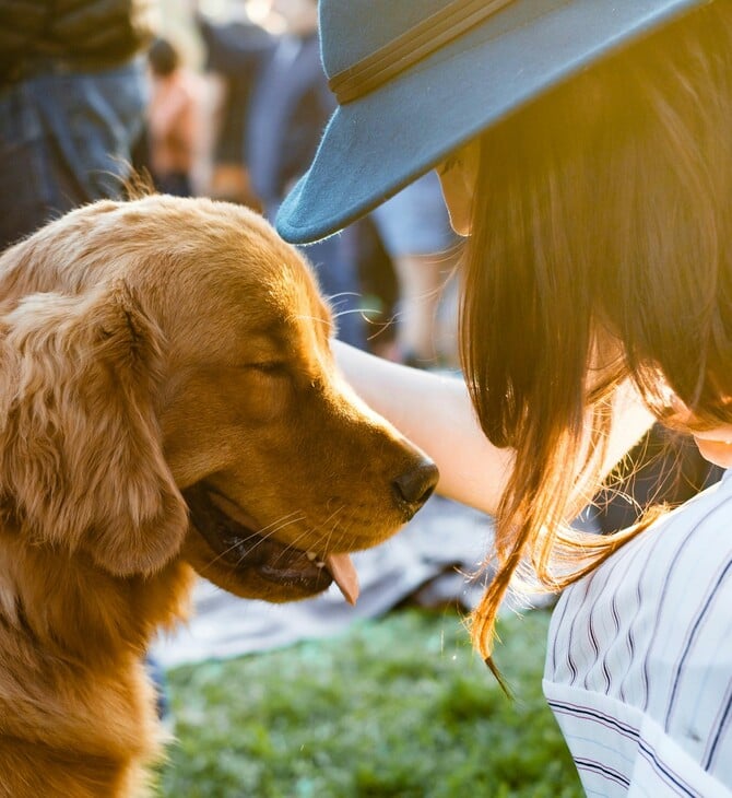 ΒΡΑΖΙΛΙΑ ΔΙΑΖΥΓΙΟ ΚΑΤΟΙΚΙΔΙΑ