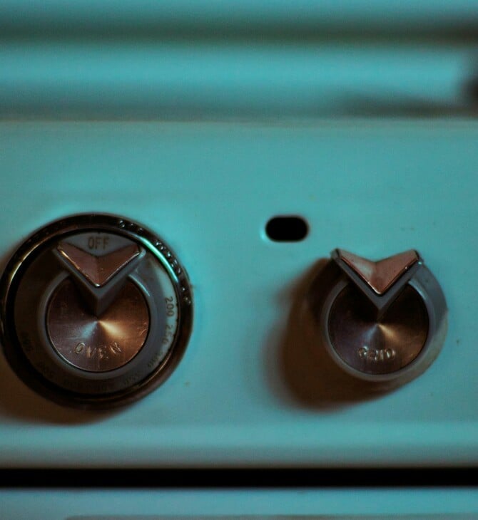 ΖΕΣΤΑΜΑ ΦΑΓΗΤΟΥ ΤΡΟΦΙΚΗ ΔΗΛΗΤΗΡΙΑΣΗ