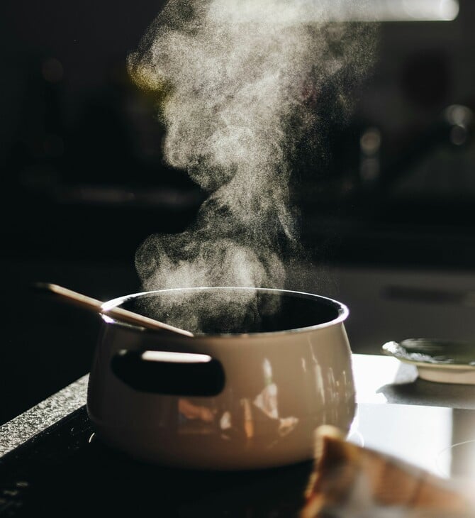 ΝΗΣΤΕΙΑ ΦΑΓΗΤΟ ΓΑΣΤΡΕΝΤΕΡΙΤΙΔΑ