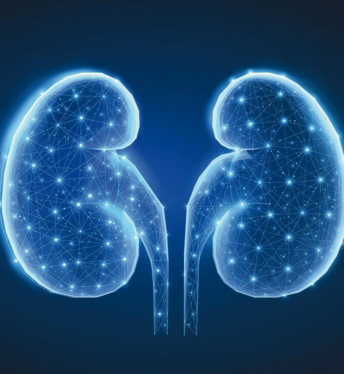 Η Boehringer Ingelheim εντείνει τις δράσεις της για τη χρόνια νεφρική νόσο