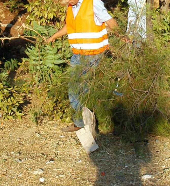 ΑΚΑΘΑΡΙΣΤΑ ΟΙΚΟΠΕΔΑ 2026 ΑΙΤΗΣΕΙΣ