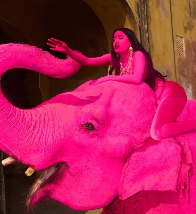 ΡΟΖ ΕΛΕΦΑΝΤΑΣ ΑΝΤΙΔΡΑΣΕΙΣ