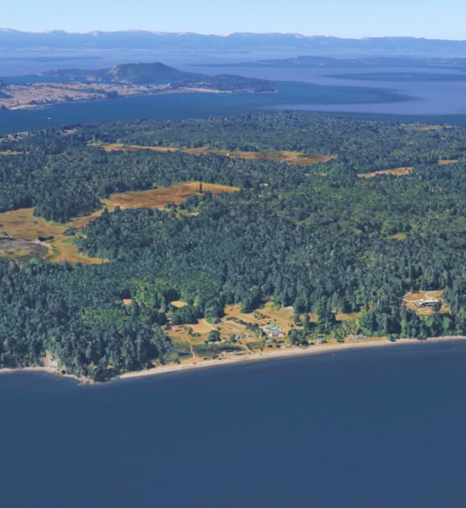 ΝΕΚΡΑ ΣΚΥΛΙΑ ΣΙΑΤΛ ΗΠΑ