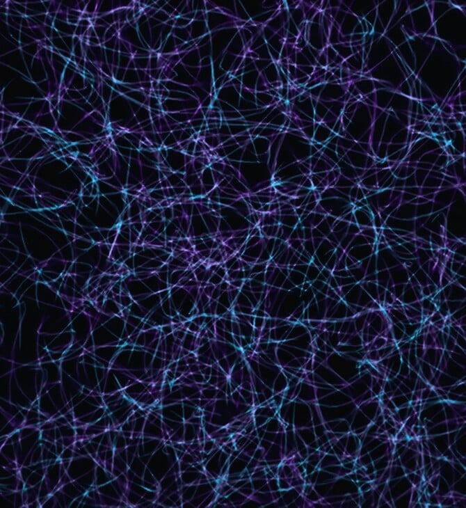 ΕΓΚΕΦΑΛΟΣ ΨΥΧΕΔΕΛΙΚΕΣ ΟΥΣΙΕΣ ΝΕΥΡΩΝΕΣ