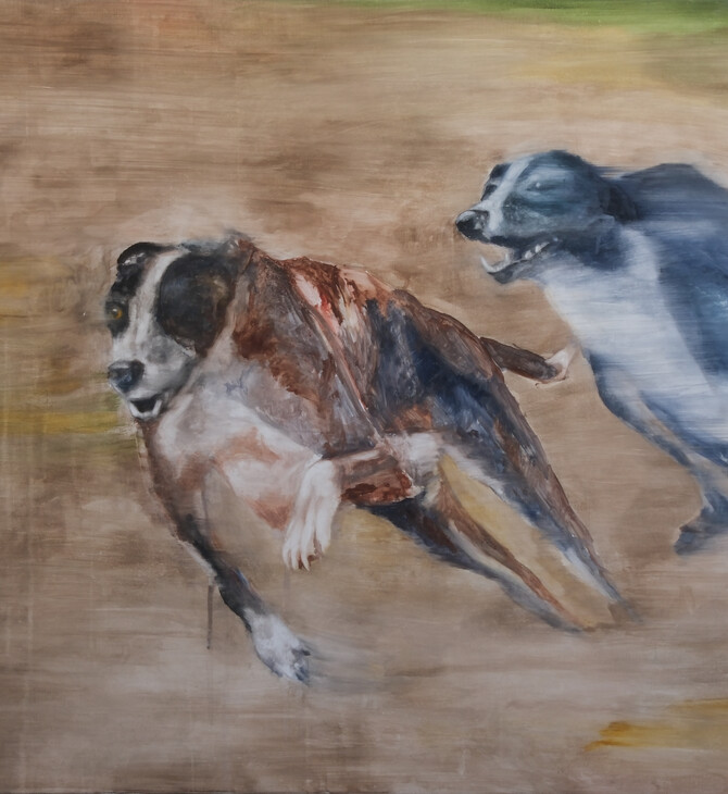 Tindara Spartà: MAD HOUSE