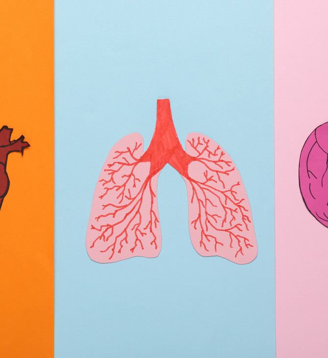 Καρδιοπνευμονικό ταξίδι φροντίδας, με την καρδιά και τον πνεύμονα να μιλούν την ίδια γλώσσα στη ΧΑΠ