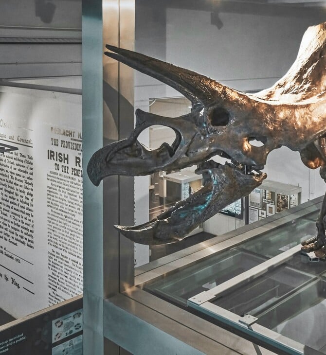 ΔΕΙΝΟΣΑΥΡΟΙ ΑΠΟΛΙΘΩΜΑΤΑ ΔΗΜΟΠΡΑΣΙΑ