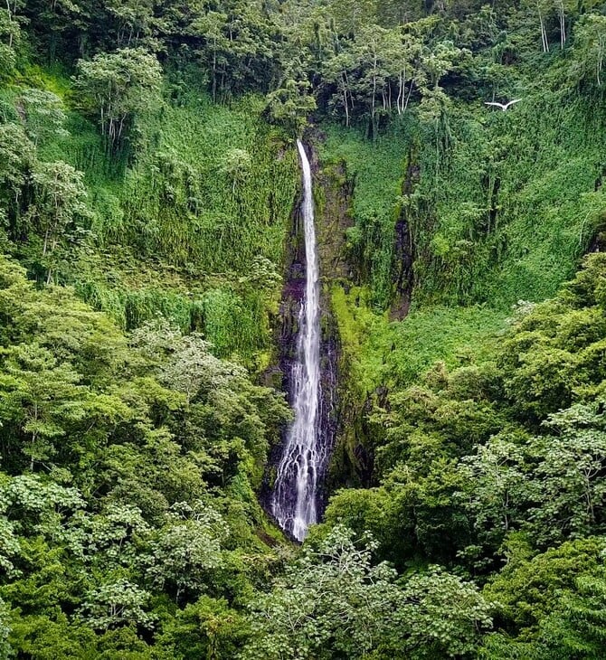 Ταξίδι στο Νησί των Θησαυρών 