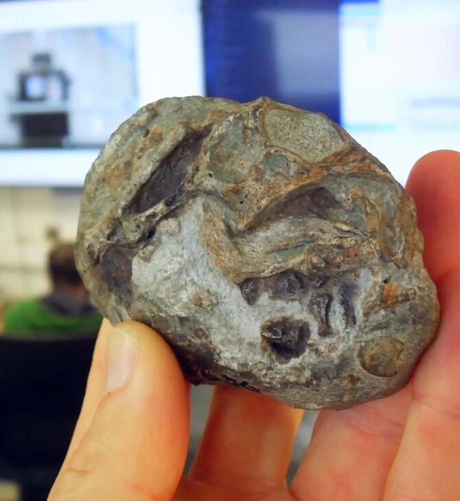 ΑΠΟΛΙΘΩΜΑ ΕΜΒΡΥΟΥ ΝΟΤΙΑ ΑΦΡΙΚΗ ΘΗΛΑΣΤΙΚΑ