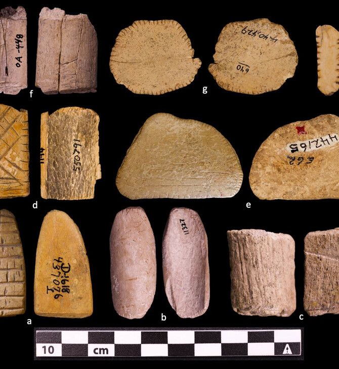 ΤΖΟΓΟΣ ΖΑΡΙΑ ΑΜΕΡΙΚΗ ΠΑΙΧΝΙΔΙΑ ΤΥΧΗΣ