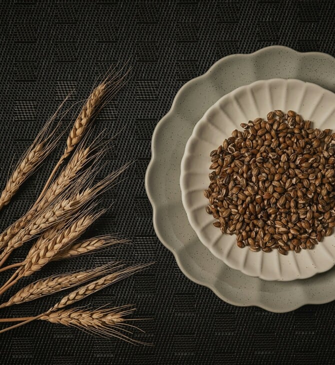 ΑΡΧΑΙΑ ΔΗΜΗΤΡΙΑΚΑ ΔΙΑΤΡΟΦΗ ΜΟΔΑ