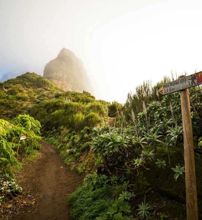 ΜΑΔΕΡΑ ΜΟΝΟΠΑΤΙ ΦΩΤΙΑ