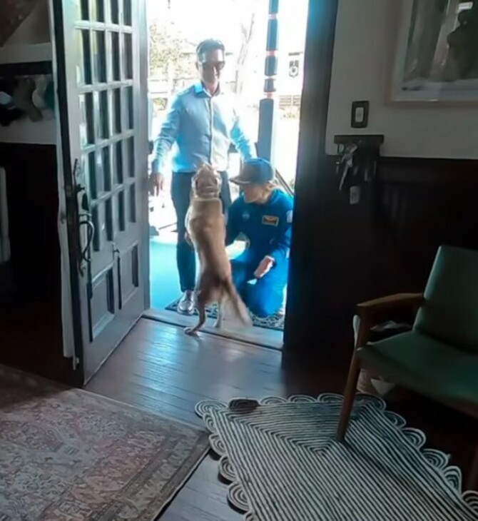 ARTEMIS II ΚΡΙΣΤΙΝΑ ΚΟΧ ΣΚΥΛΟΣ ΕΠΑΝΕΝΩΣΗ