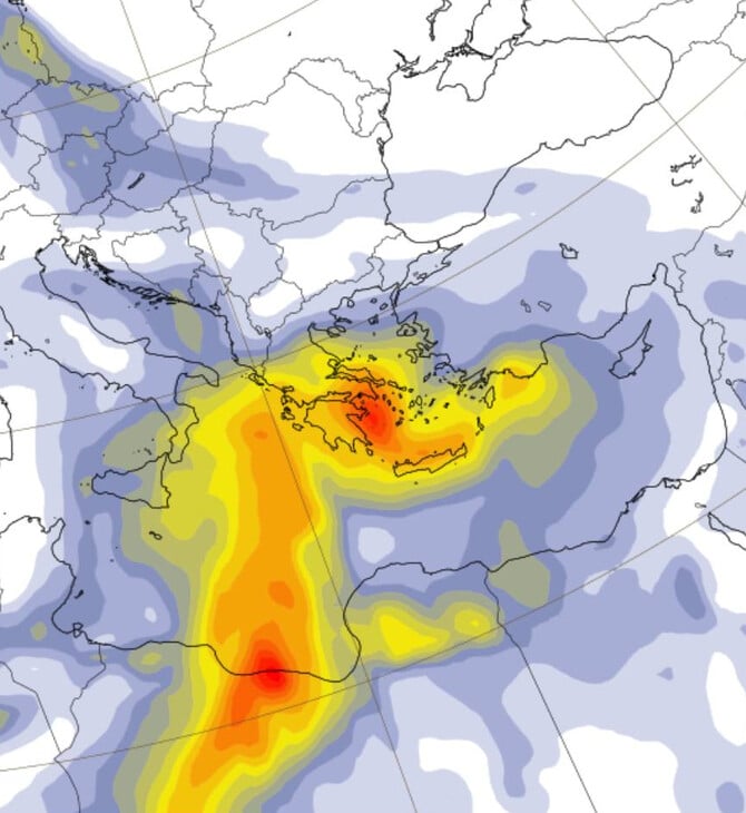 ΚΑΙΡΟΣ ΤΣΑΤΡΑΦΥΛΛΙΑΣ ΑΦΡΙΚΑΝΙΚΗ ΣΚΟΝΗ