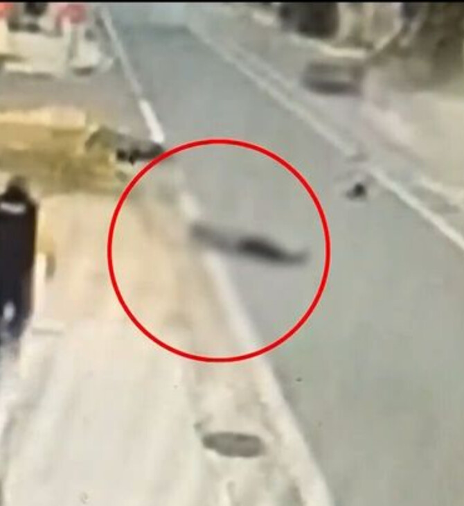 ΤΡΟΧΑΙΟ ΑΡΤΕΜΙΔΑ