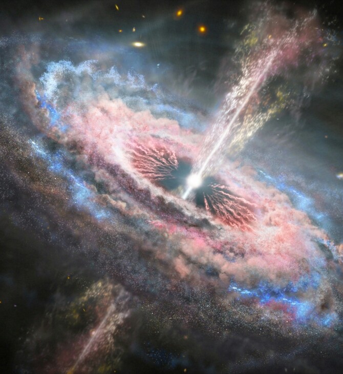 ΜΑΥΡΗ ΤΡΥΠΑ ΠΙΔΑΚΑΣ