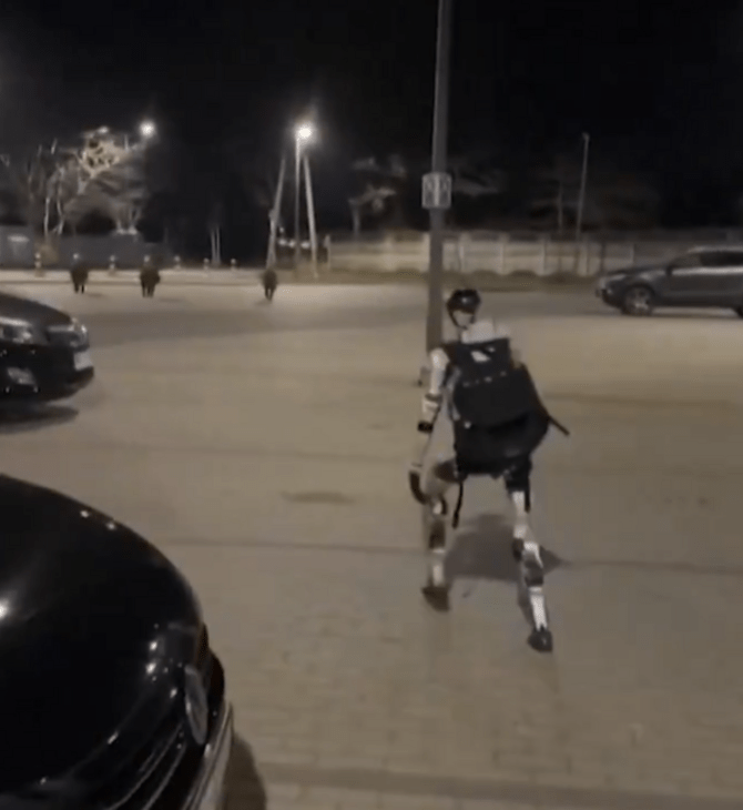 Βαρσοβία: Viral ρομπότ που κυνηγά αγριογούρουνα στους δρόμους