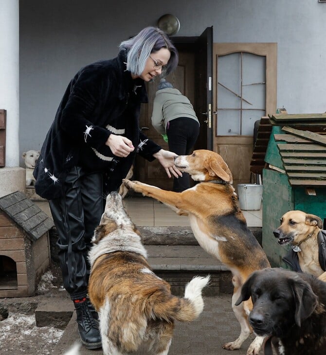 ΗΠΑ ΚΑΤΑΦΥΓΙΑ ΖΩΑ ΕΥΘΑΝΑΣΙΑ