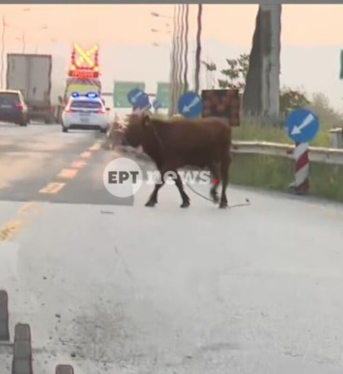 ΑΓΕΛΑΔΑ ΕΘΝΙΚΗ ΟΔΟΣ ΘΕΣΣΑΛΟΝΙΚΗ