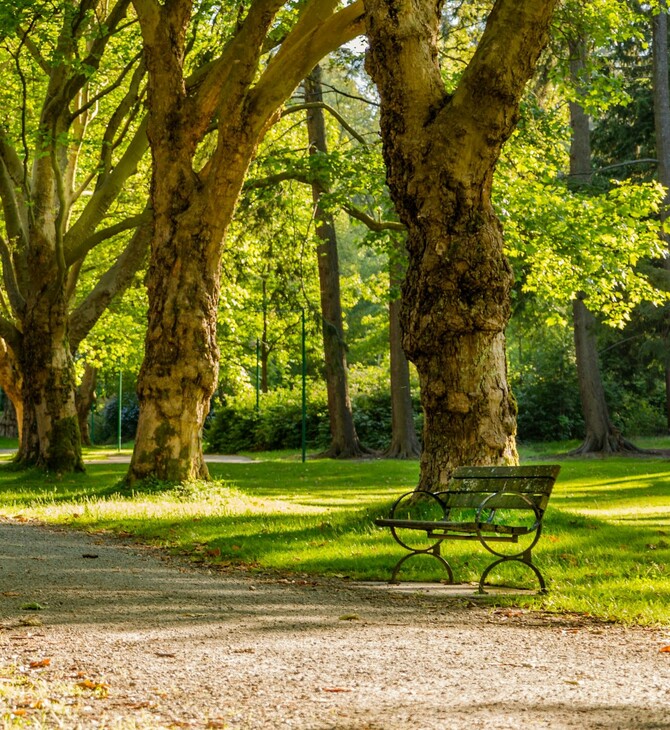 ΗΠΑ ΠΥΡΟΒΟΛΙΣΜΟΙ ΠΑΡΚΟ ΝΕΚΡΟΙ