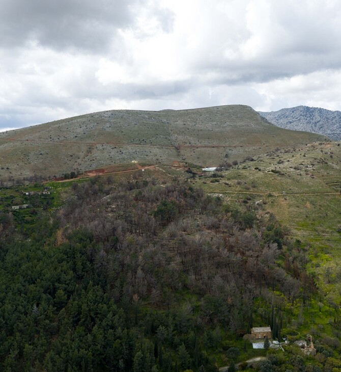 2.000 νέα δέντρα από το φυσικό μεταλλικό νερό ΒΙΚΟΣ σε Χίο και Βόρεια Εύβοια