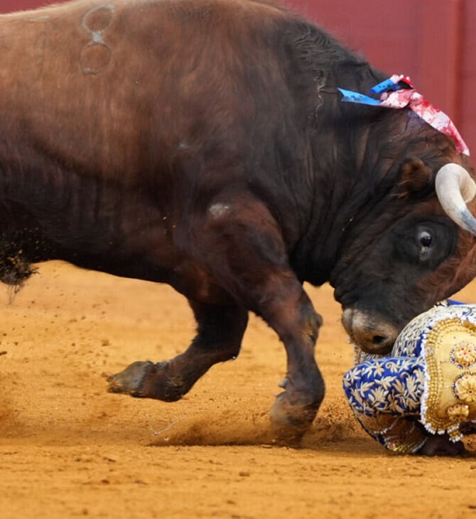 Διάσημος ταυρομάχος επέστρεψε από τη σύνταξη και τον «κάρφωσε» ταύρος- Σκληρές εικόνες