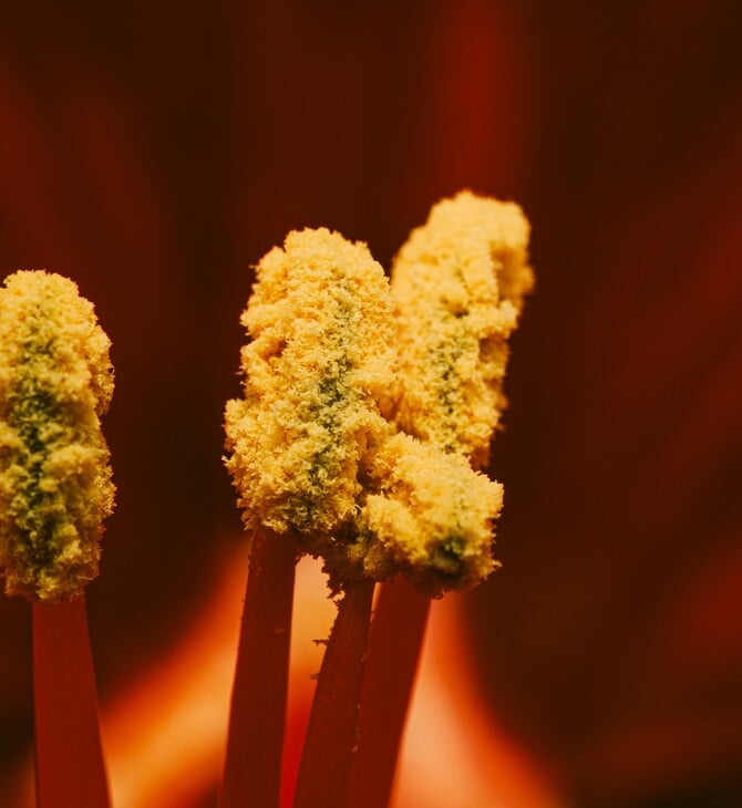 ΓΥΡΗ ΑΛΛΕΡΓΙΕΣ ΚΛΙΜΑΤΙΚΗ ΑΛΛΑΓΗ