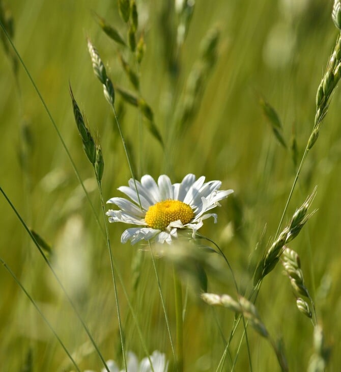 ΚΑΙΡΟΣ ΒΡΟΧΕΣ ΗΛΙΟΣ ΣΑΒΒΑΤΟΚΥΡΙΑΚΟ
