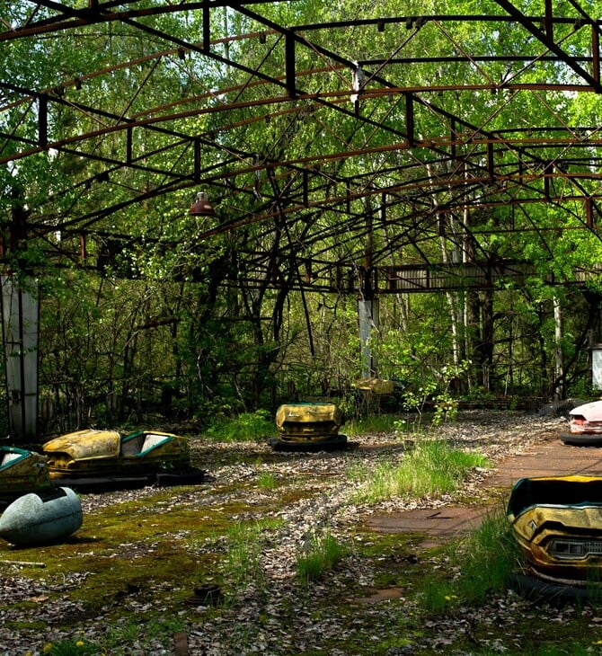 ΤΣΕΡΝΟΜΠΙΛ ΑΛΕΠΟΥΔΕΣ ΑΡΚΟΥΔΕΣ ΒΙΣΟΝΕΣ ΠΥΡΗΝΙΚΗ ΚΑΤΑΣΤΡΟΦΗ