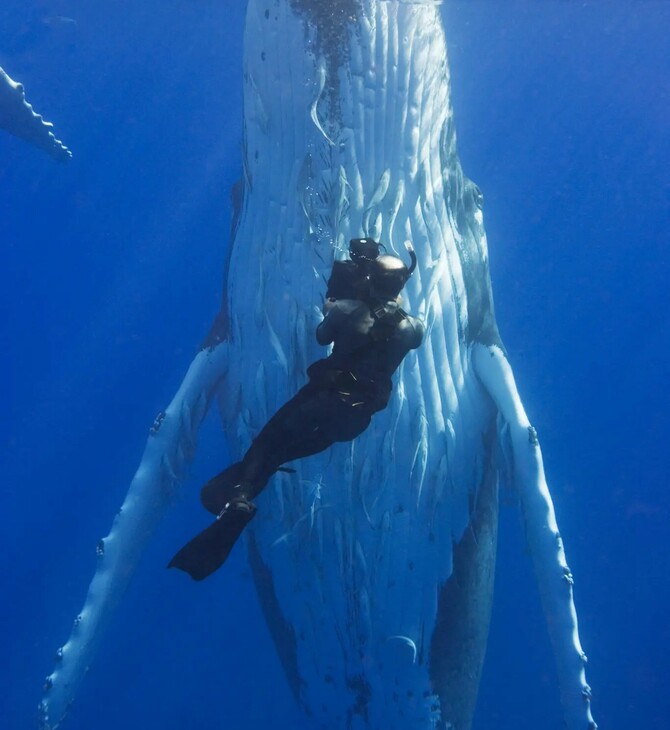 Πέθανε ο Νταγκ Άλαν, ο θρυλικός κάμεραμαν των πολικών ντοκιμαντέρ του Ντέιβιντ Άτενμπορο