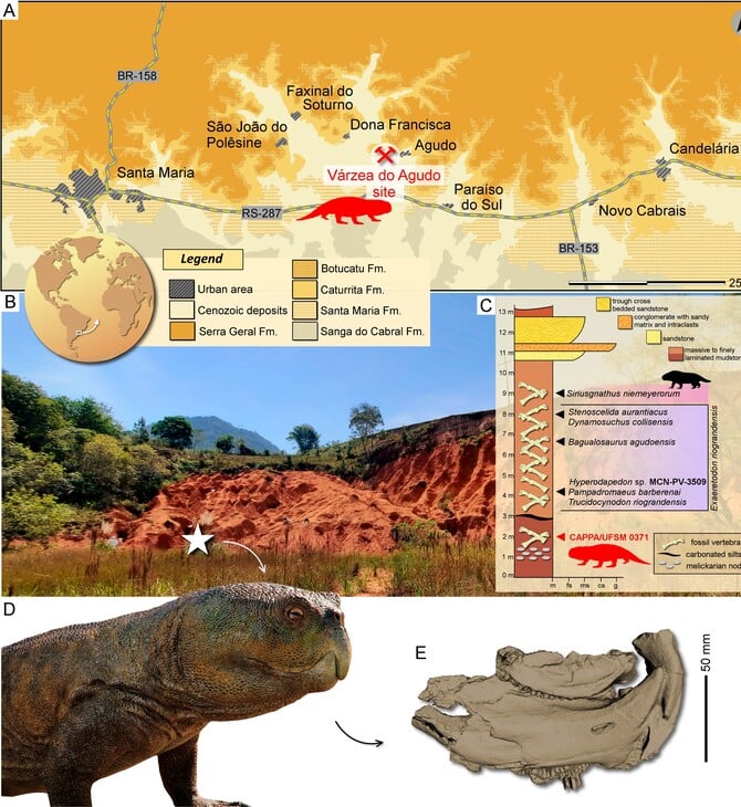 ΔΕΙΝΟΣΑΥΡΟΙ ΒΡΑΖΙΛΙΑ ΣΚΩΤΙΑ