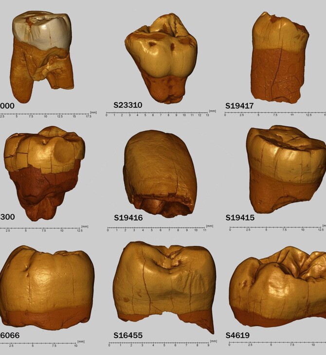 Επιστήμονες ανασυνθέτουν μία από τις αρχαιότερες γνωστές κοινότητες Νεάντερταλ