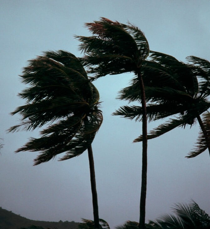 ΦΙΤΖΙ ΚΥΚΛΩΝΕΣ