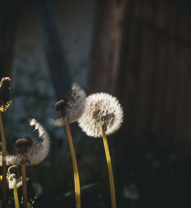 ΚΑΙΡΟΣ ΠΡΩΤΟΜΑΓΙΑ