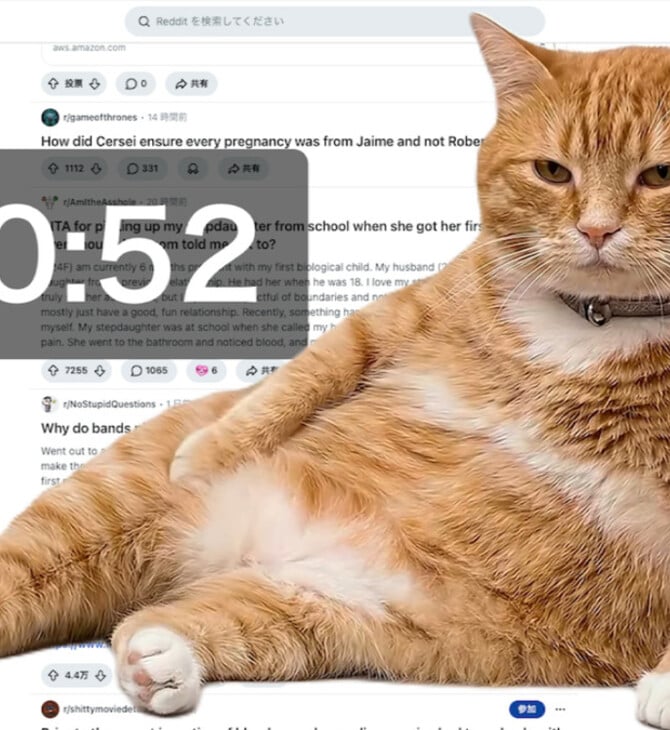 ΓΑΤΑ CHROME BROSWER EXTENSIONφ