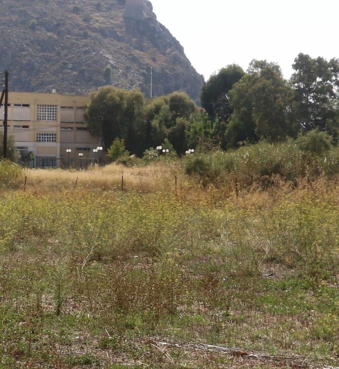 ΚΑΘΑΡΙΣΜΟΣ ΟΙΚΠΕΔΩΝ ΠΡΟΣΤΙΜΑ ΠΡΟΘΕΣΜΙΑ