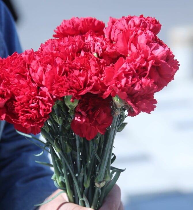 ΠΡΩΤΟΜΑΓΙΑ ΜΜΜ ΜΕΣΑ ΜΕΤΑΦΟΡΑΣ ΑΠΕΡΓΙΑ