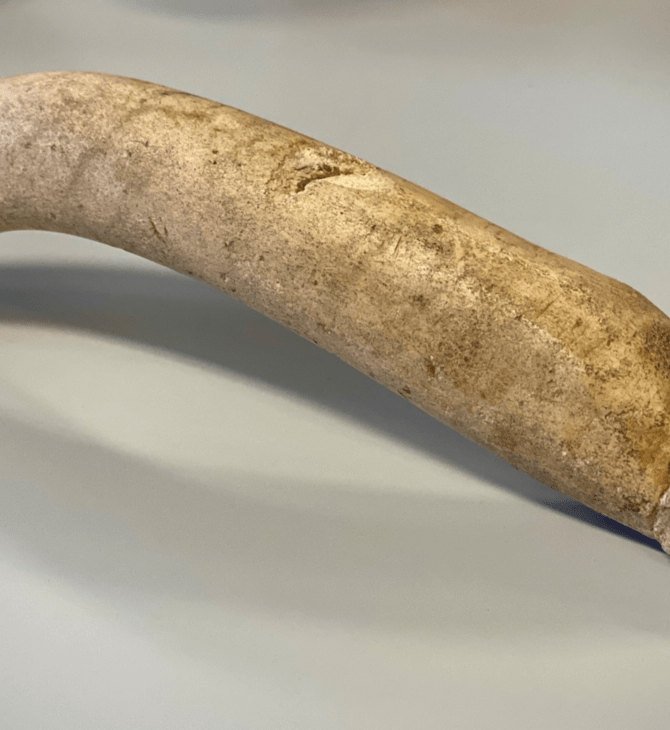 Ολλανδικό μουσείο βρήκε ρωμαϊκό φαλλό 20 εκατοστών σε ξεχασμένη συλλογή 16.000 κουτιών