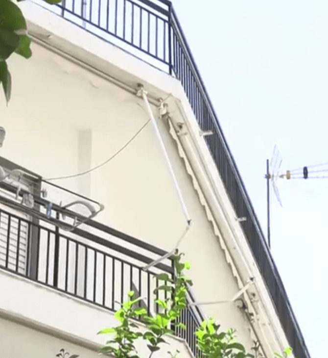 ΠΕΡΙΣΤΕΡΙ ΠΑΙΔΙΑ ΑΘΛΙΕΣ ΣΥΝΘΗΚΕΣ ΠΑΤΕΡΑΣ