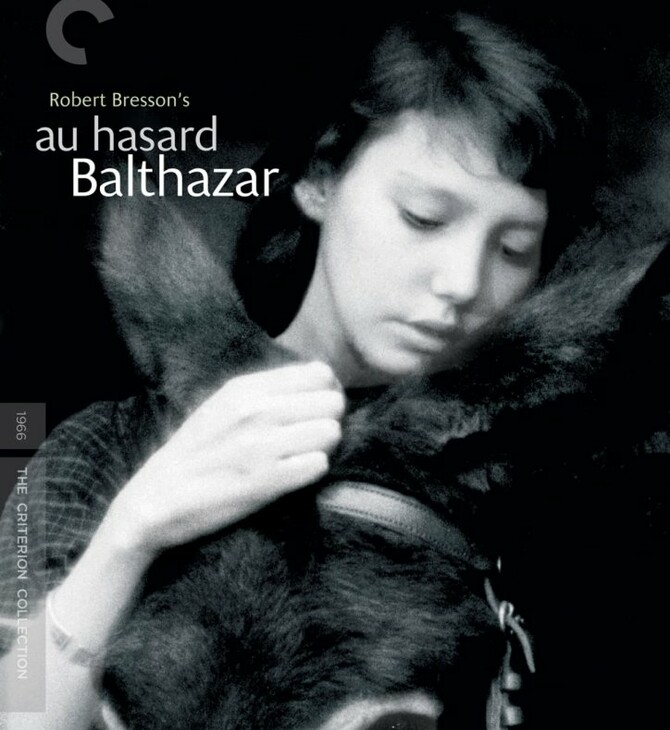 Au Hasard Balthazar