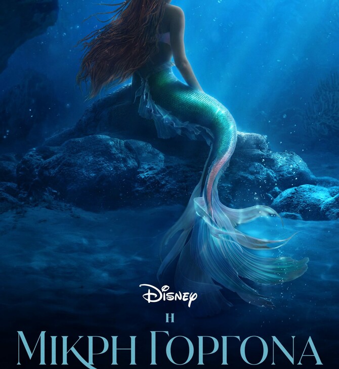 LITTLE MERMAID
