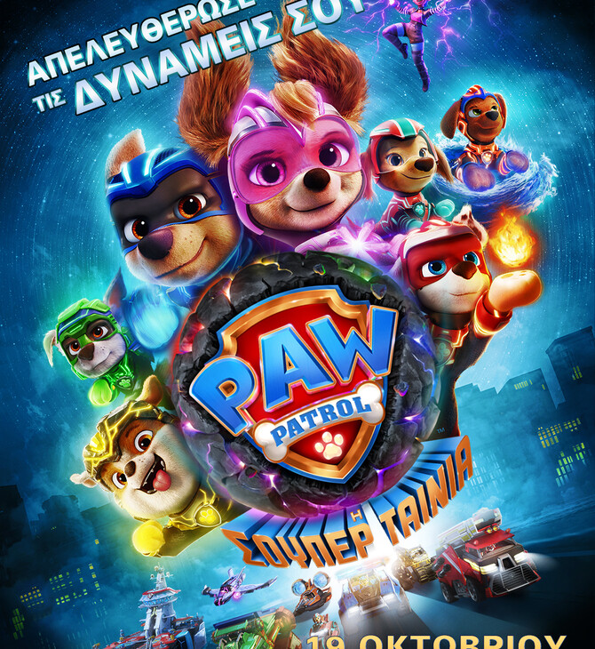 paw patrol