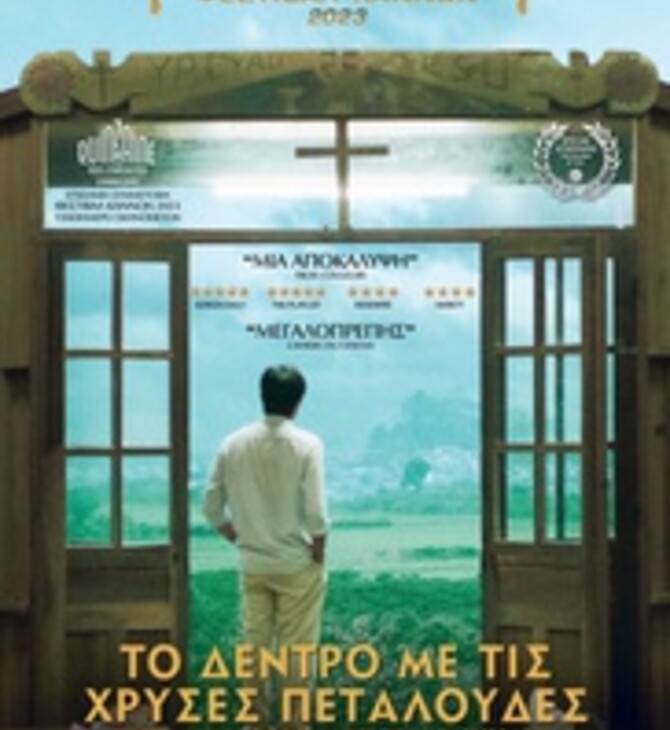 Ιnside the Yellow Cocoon Shell 