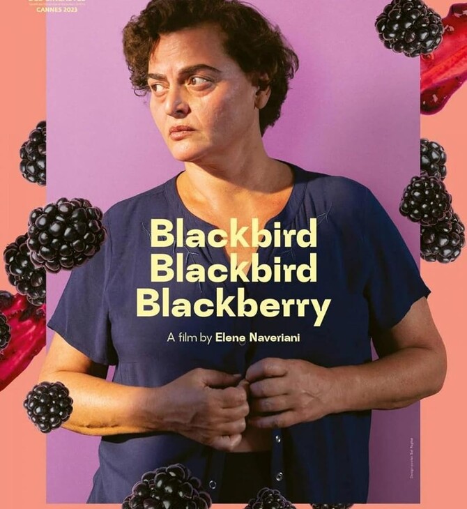 Blackbird, Blackbird, Blackberry