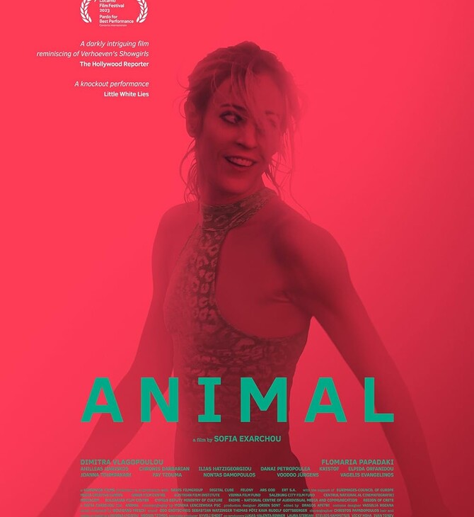animal