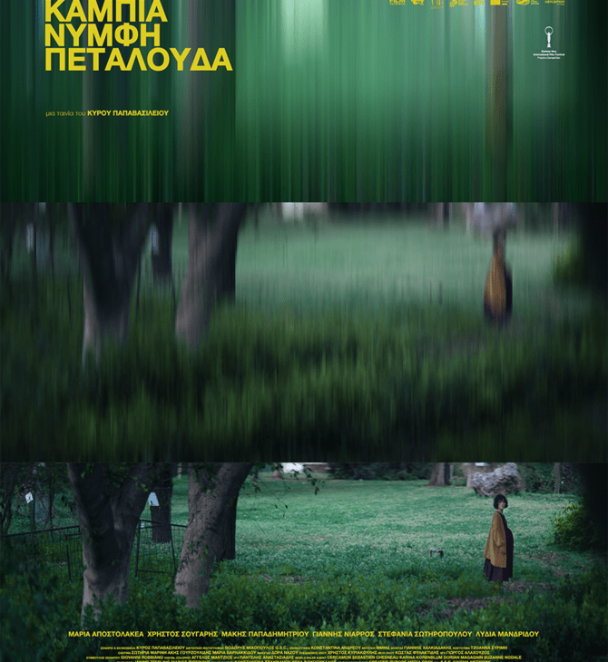  Κάμπια Νύμφη Πεταλούδα